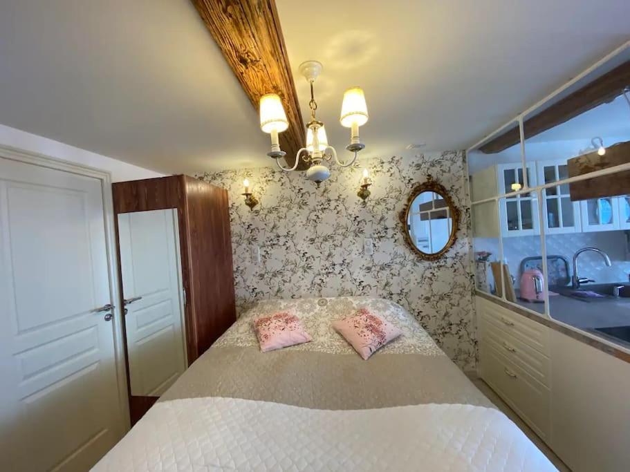 Ravissant Shabby Chic Au Centre De Metz Apartment Ngoại thất bức ảnh