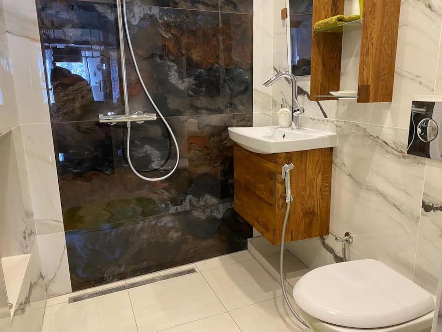 Ravissant Shabby Chic Au Centre De Metz Apartment Ngoại thất bức ảnh