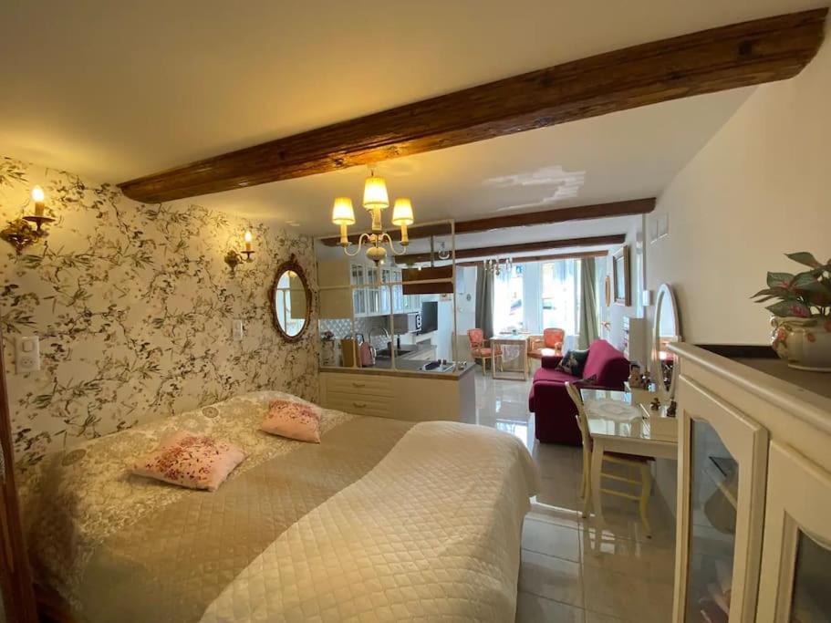 Ravissant Shabby Chic Au Centre De Metz Apartment Ngoại thất bức ảnh