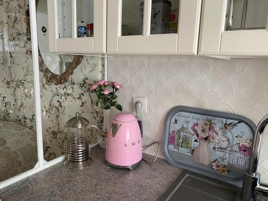 Ravissant Shabby Chic Au Centre De Metz Apartment Ngoại thất bức ảnh